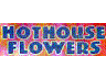 HOTHOUSE FLOWERS